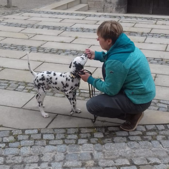 Mensch und Hund