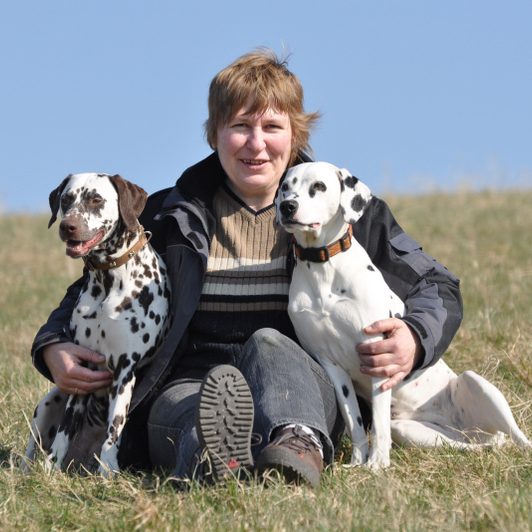 Mensch mit zwei Hunden